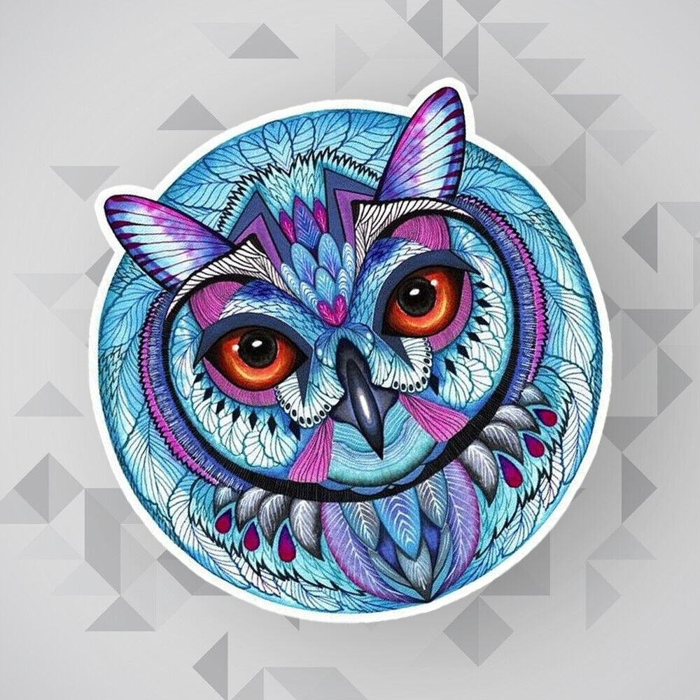 Colorful Cute OWL Sticker Decal Laptop Car Van Truck Liftgate Window Decorate